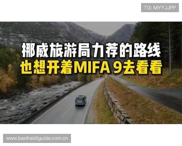 世界杯挪威VS法国比赛购票渠道推荐，最全购票方式及注意事项一站式指南